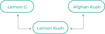 Lemon-G