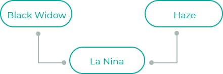La-Nina